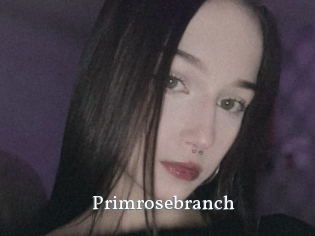 Primrosebranch