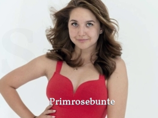 Primrosebunte