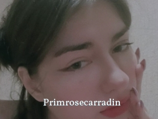 Primrosecarradin
