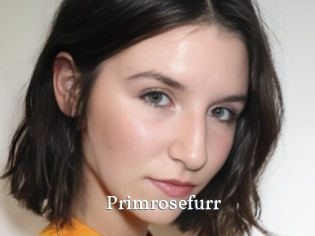 Primrosefurr