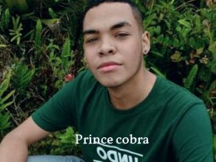 prince_cobra SexyIdol