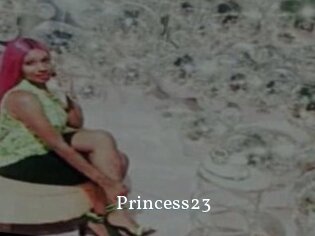 Princess23