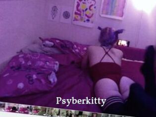 Psyberkitty