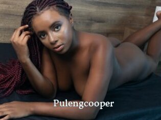Pulengcooper