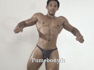 Pumebonyfit