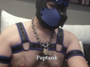 puptank SexyIdol