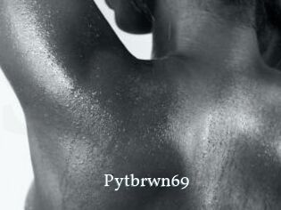 Pytbrwn69