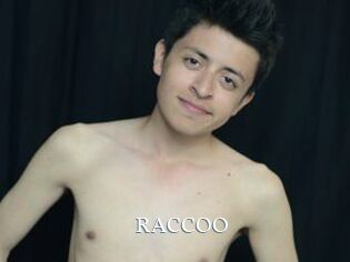 RACCOO
