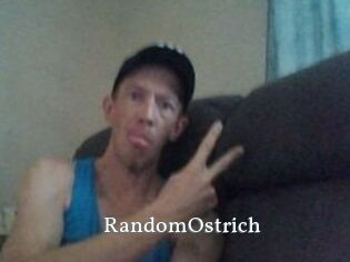 RandomOstrich