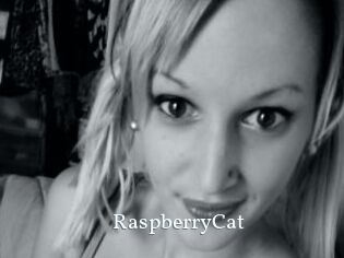 RaspberryCat
