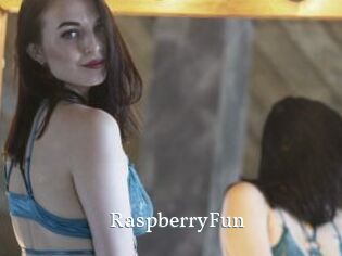 RaspberryFun