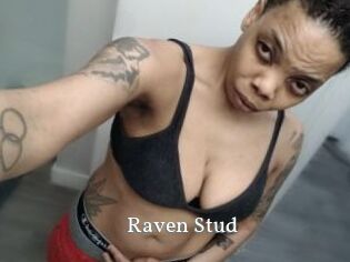 Raven_Stud