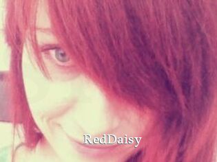 RedDaisy