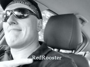 RedRooster
