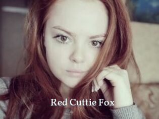 Red_Cuttie_Fox