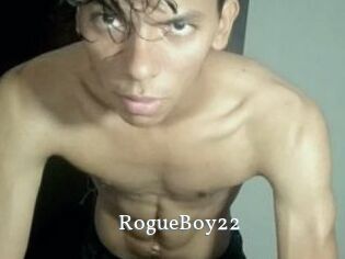 RogueBoy22