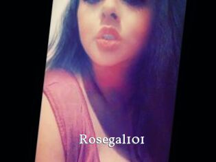 Rosegal101