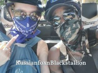RussianfoxnBlackstallion