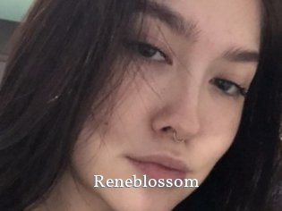 reneblossom SexyIdol