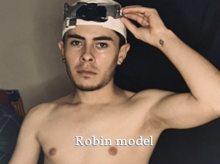 Robin_model