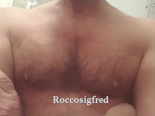 Roccosigfred