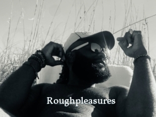 Roughpleasures