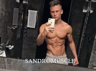 SANDRO_MUSCLE