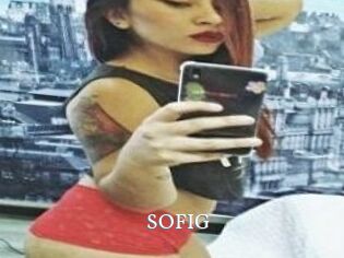 SOFI_G