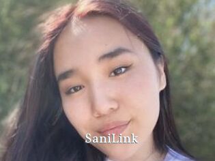 SaniLink