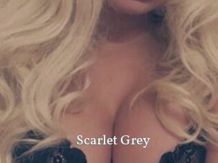 Scarlet_Grey