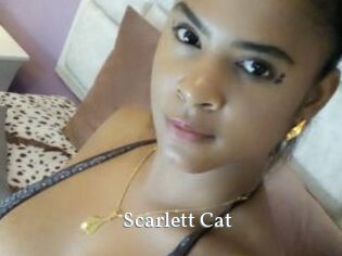 Scarlett_Cat