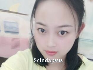 Scindapsus