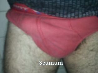 Seumum SexyIdol