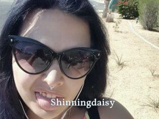 Shinningdaisy