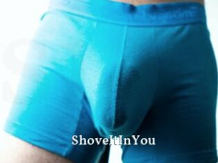 ShoveItInYou