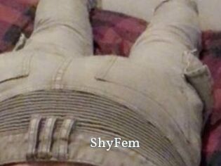 ShyFem