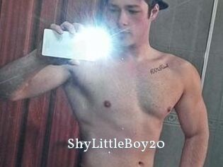 ShyLittleBoy20