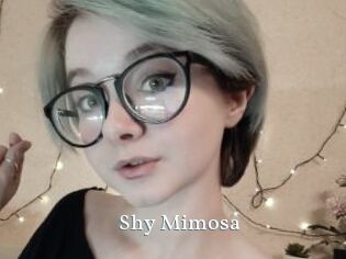 Shy_Mimosa