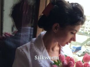 Silkworm