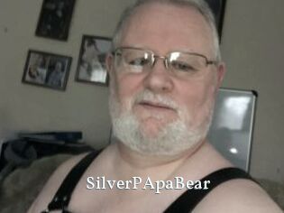 SilverPApaBear