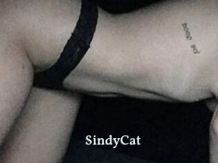 SindyCat