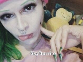 SkyBurrito