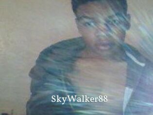 SkyWalker88
