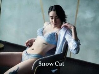 Snow_Cat