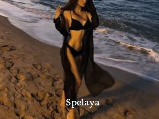 Spelaya