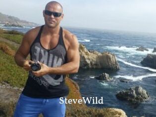 Steve_Wild
