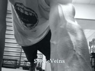 StevieVeins