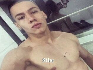 Stier