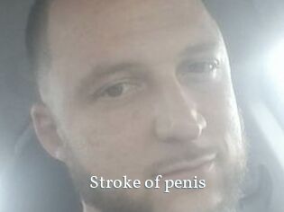 Stroke_of_penis