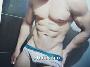 Stud_Fabio